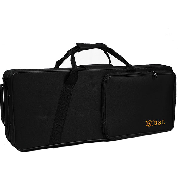 BSL Alto Saxophone Gold E Flat Electrophoresis with Case - Lacquer