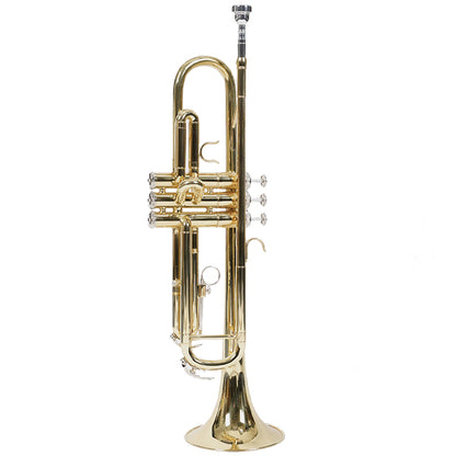 BSL Bb Trumpet Instrument B Flat Three Tone Gold Plated and Nickel for Beginner with Case
