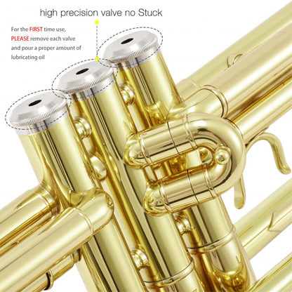 BSL Bb Trumpet Instrument B Flat Three Tone Gold Plated and Nickel for Beginner with Case