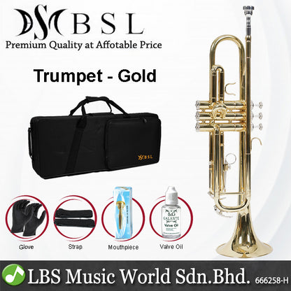 BSL Bb Trumpet Instrument B Flat Three Tone Gold Plated and Nickel for Beginner with Case