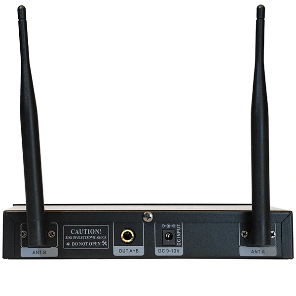 BSL UG88 Handheld UHF 2 Wireless Hand Held Microphone System with Metal Cordless Mic (UG-88)