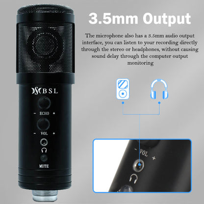 BSL-BM-858- +NB35 + Pop Filter + PMS