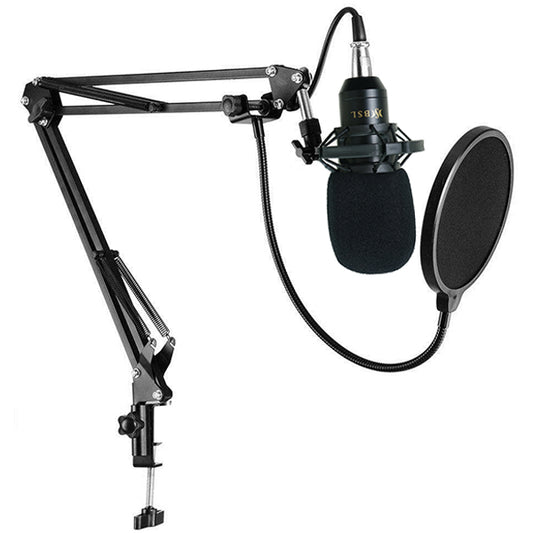 BSL BM-800 Mic Professional USB Condenser Studio Recording Live Microphone Package Phone Computer (BM800)