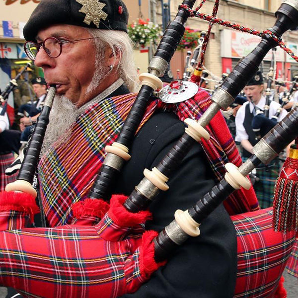[Clearance] BSL Aar Scottish Bagpipe Rosewood Royal Stewart Tartan Black Finish - Without Reed