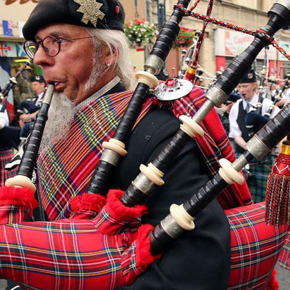 [Clearance] BSL Aar Scottish Bagpipe Rosewood Royal Stewart Tartan Black Finish - Without Reed