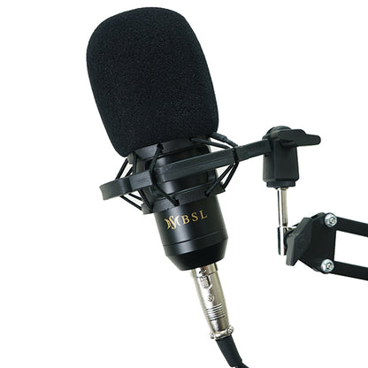 BSL BM-800 Mic Professional USB Condenser Studio Recording Live Microphone Package Phone Computer (BM800)