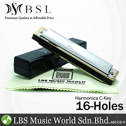 BSL C Key Harmonica Stainless Steel Beginner Harmonica 24 20 16 10 Hole With Carrying Case