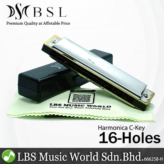 BSL C Key Harmonica Stainless Steel Beginner Harmonica 24 20 16 10 Hole With Carrying Case