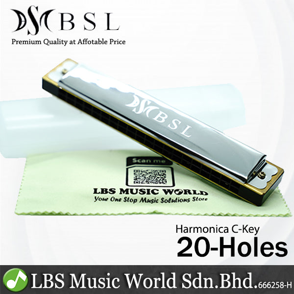 BSL C Key Harmonica Stainless Steel Beginner Harmonica 24 20 16 10 Hole With Carrying Case