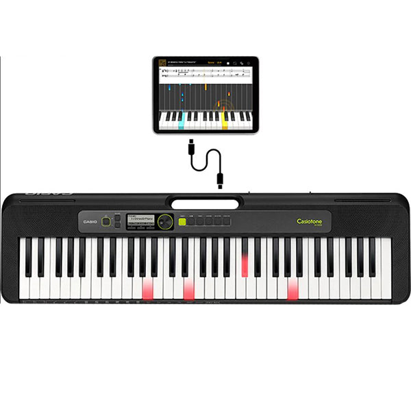 Casio LK-S250 61 Key Casiotone Electric Keyboard Intermediate Package Music Piano (LKS250 LK S250 LKS 250)
