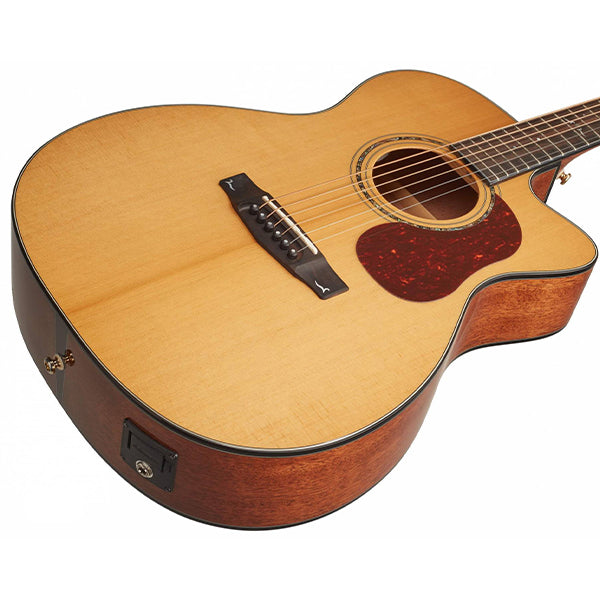 Cort Gold-OC6 Orchestra Full Solid Acoustic Electric Guitar with Bag - Natural Satin (Gold OC6)