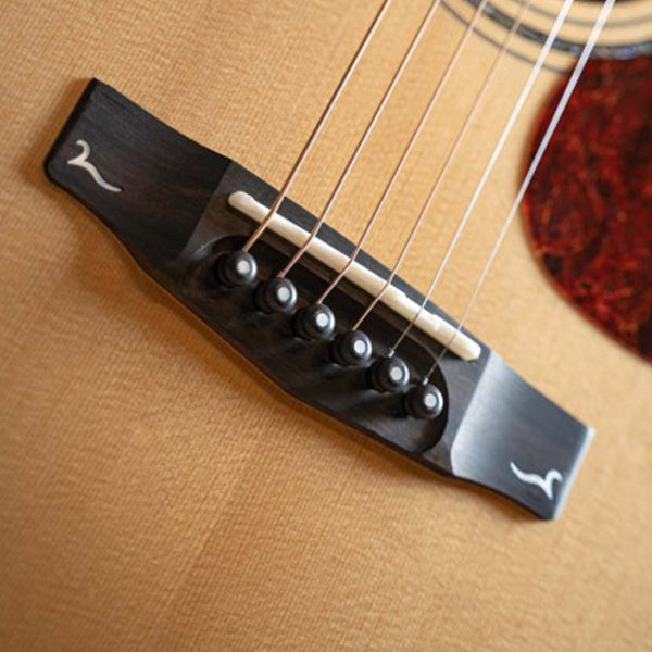 Cort Gold-A6 Bocote Auditorium Full Solid Acoustic Electric Guitar with Bag - Natural Glossy (Gold A6)