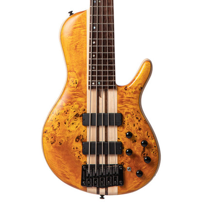 Cort A5 Plus SC 5 String Electric Bass Guitar Poplar Burl Top Ash Body - Amber Open Pore