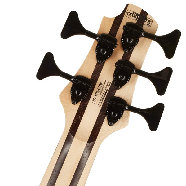 Cort A5 Plus SC 5 String Electric Bass Guitar Poplar Burl Top Ash Body - Amber Open Pore