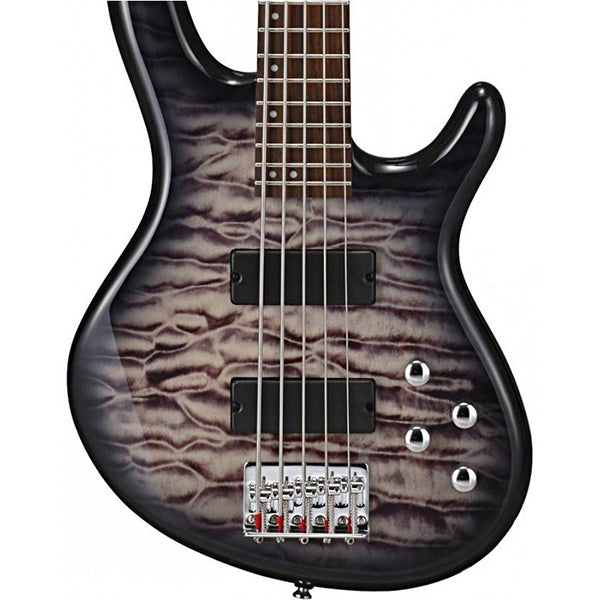 Cort Action V DLX 4 String Double Cutaway Bolt On Agathis Faded Gray Burst Electric Bass Guitar (VDLX)