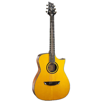 Cort LUXE Concert Solid Adirondack Spruce Top Acoustic Guitar with Case (LU XE)
