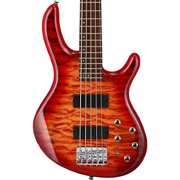 Cort Action DLX V Plus 5 String Double Cutaway Bolt On Poplar Electric Bass Guitar (DLXV)