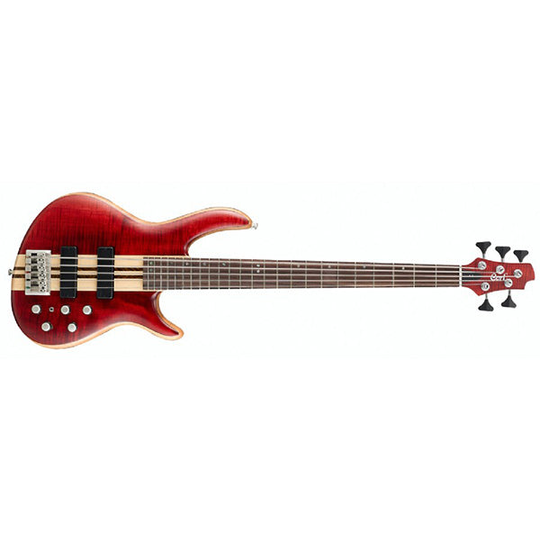 Cort A5 5 String Double Cutaway Neck Thru Figured Maple Top Open Pore Electric Bass Guitar (A 5)