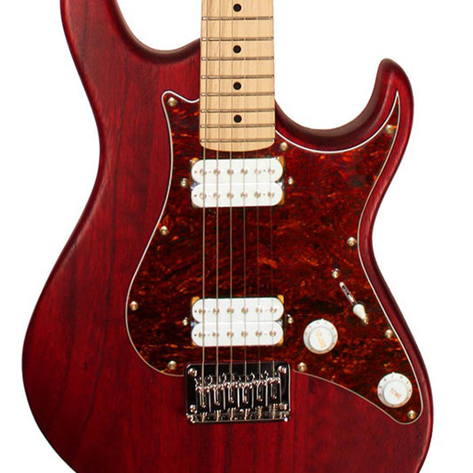 Cort G100 HH Double Cutaway Meranti Bolt On Powersound HH Pickup Electric Guitar (G100HH)