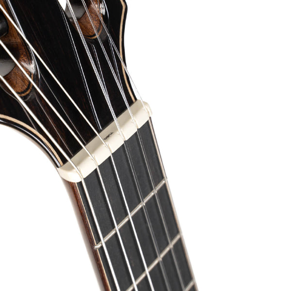 Cort Sunset Nylectric DLX Mahogany Boday  Flamed Maple Veneer Top Electric Electric Classical Guitar - Tobacco Sunburst