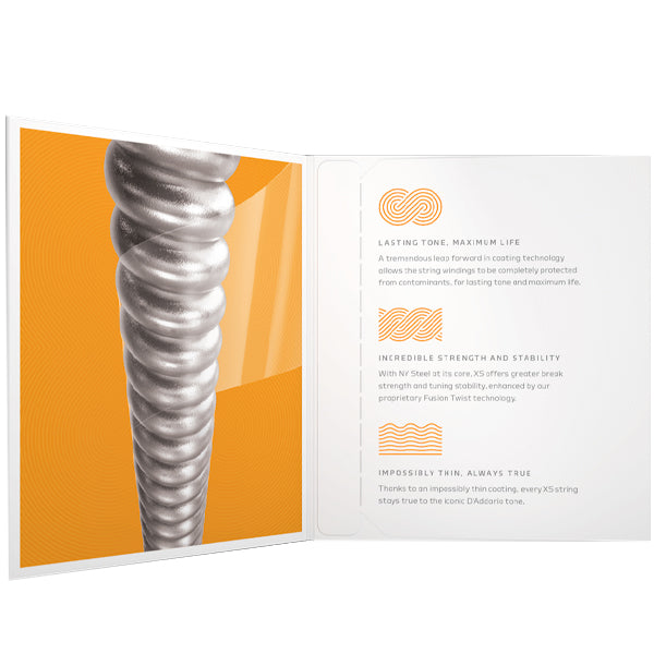 D'addario XSE1046 Regular Nickel Plated Steel Coated Electric Guitar Strings Anti Rust (XSE 1046)