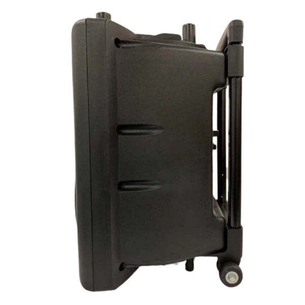 Dynamax PRO101D 250 Watt 10 Inch Active Bluetooth Portable Speaker System with 2 Wireless Handheld Microphone (PRO101 D)