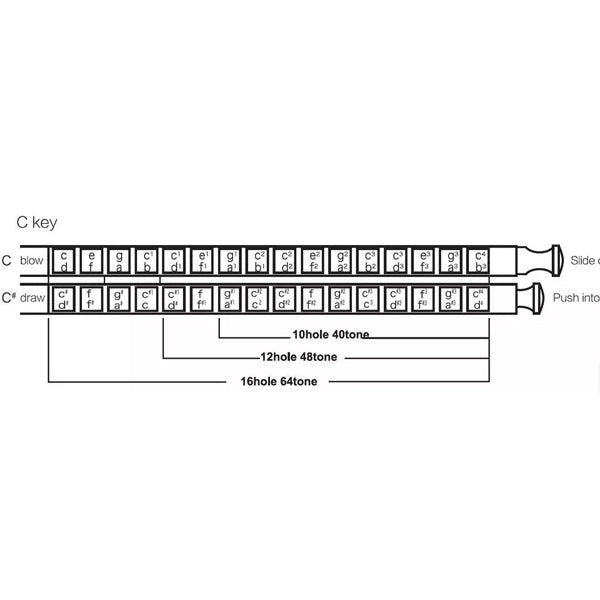 Easttop T1248-C 12 Holes 48 Tones Professional Stainless Steel Chromatic Harmonica - C Key (T1248)