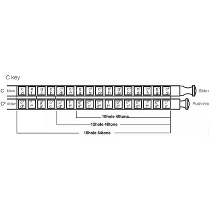 Easttop T1248-C 12 Holes 48 Tones Professional Stainless Steel Chromatic Harmonica - C Key (T1248)
