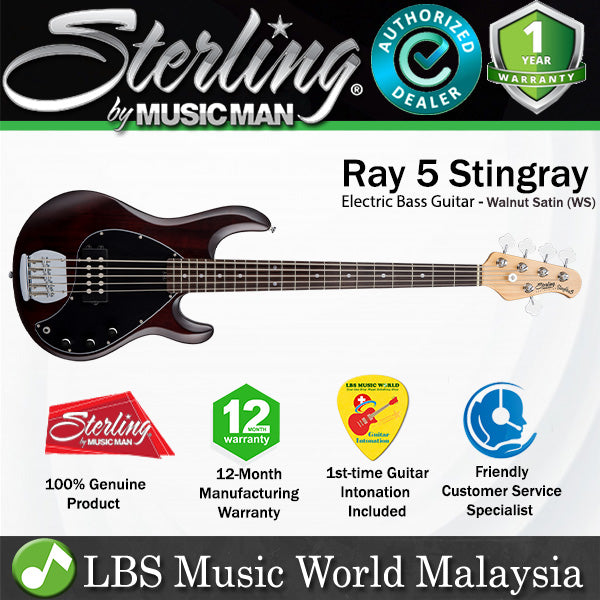 Sterling by Ernie Ball Music Man Stingray Ray5 Electric Bass Guitar- Walnut Satin (RAY5-WS)