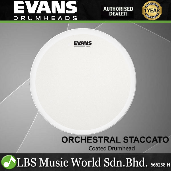 Evans 14 Inch Orchestral Staccato Coated Drumhead