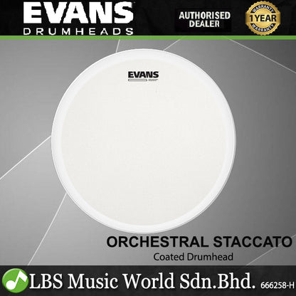 Evans 14 Inch Orchestral Staccato Coated Drumhead