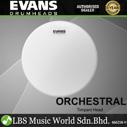Evans Orchestral Timpani Drumhead