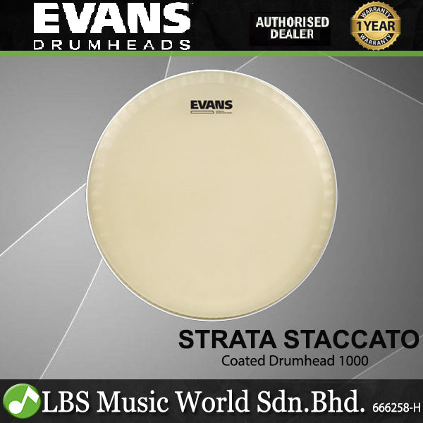 Evans Strata Staccato 1000 Concert Snare Drum Head