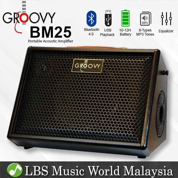 Groovy BM25 Class D Portable Bluetooth Monitor Speaker Amp Acoustic Guitar Amplifier with Build in Battery (BM 25)