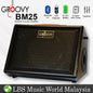 Groovy BM25 Class D Portable Bluetooth Monitor Speaker Amp Acoustic Guitar Amplifier with Build in Battery (BM 25)
