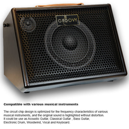 Groovy BM35 35 Watt Class D Bluetooth Monitor Speaker Amp Portable Acoustic Guitar Amplifier with Build in Battery (BM 35)