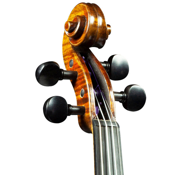 [Indent Order] Hidersine Violin Espressione 4/4 Outfit with Bow, Rosin and Case - Guarneri