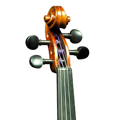 [Indent Order] Hidersine Presico Violin 4/4 Outfit with Bow, Rosin and Case - Stead Antique