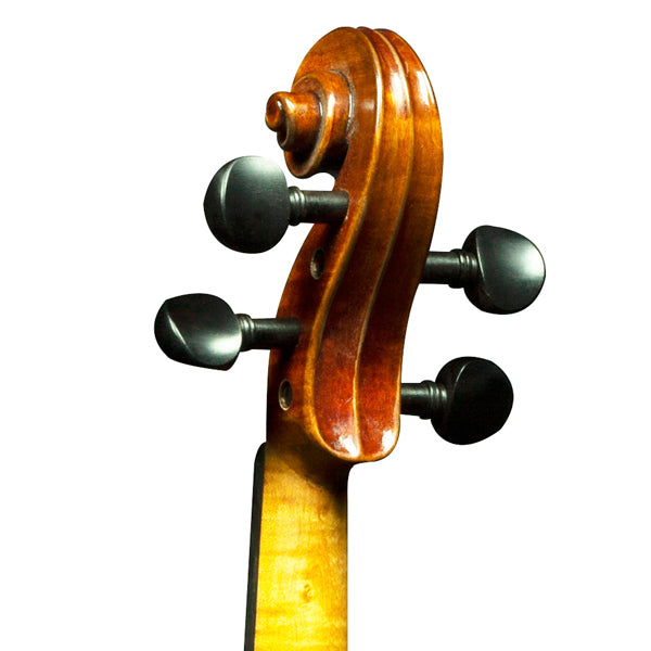 [Indent Order] Hidersine Presico Violin 4/4 Outfit with Bow, Rosin and Case - Stead Antique