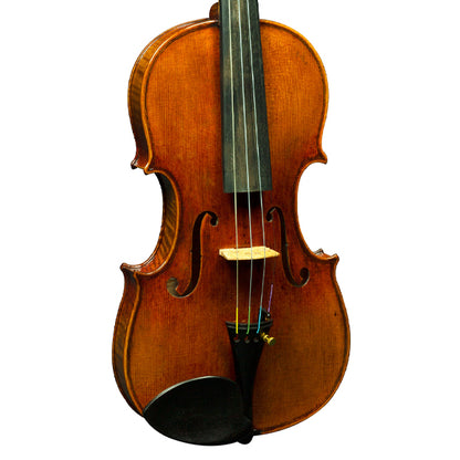 [Indent Order] Hidersine Presico Violin 4/4 Outfit with Bow, Rosin and Case - Stead Antique