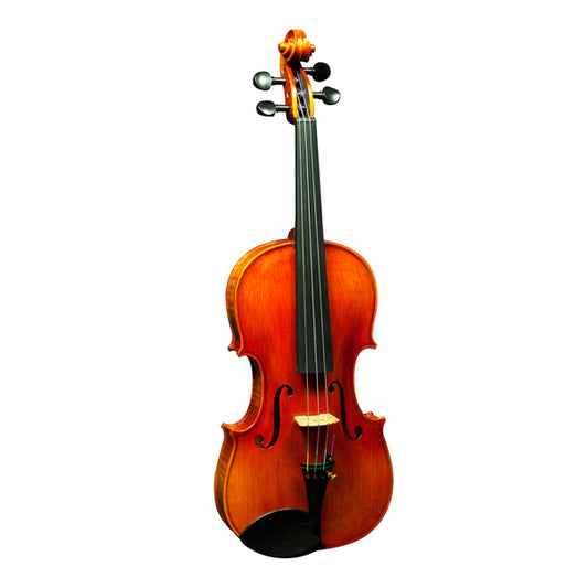 [Indent Order] Hidersine Nobile Violin 4/4 Outfit with Bow, Rosin and Case - Strad Non-Antique