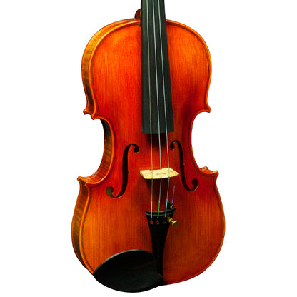 [Indent Order] Hidersine Nobile Violin 4/4 Outfit with Bow, Rosin and Case - Strad Non-Antique