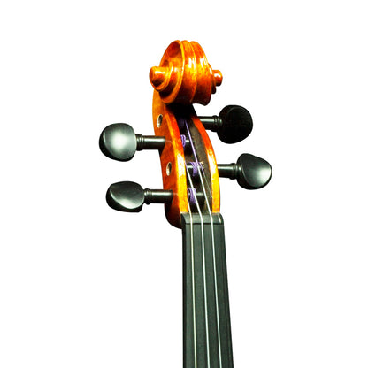 [Indent Order] Hidersine Nobile Violin 4/4 Outfit with Bow, Rosin and Case - Strad Non-Antique