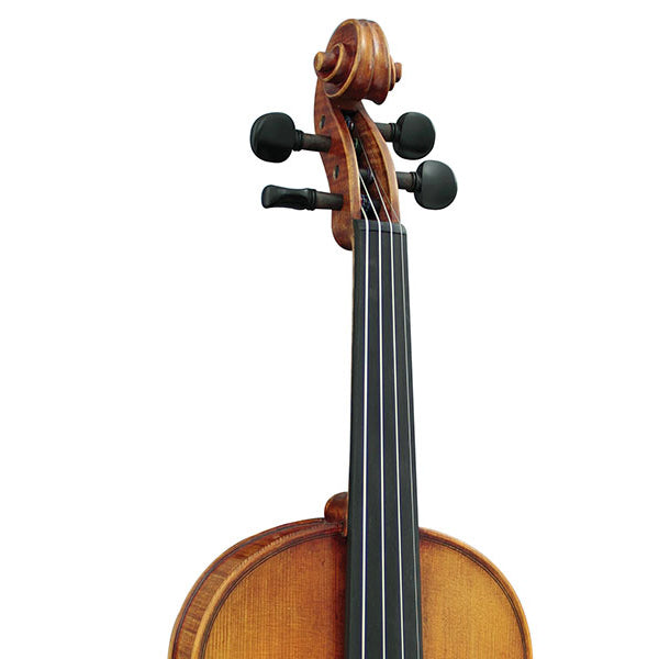 [Indent Order] Hidersine Venezia Violin Outfit with Bow, Rosin and Case - 4/4 3/4