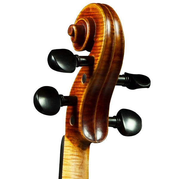 [Indent Order] Hidersine Espressione Violin 4/4 Outfit with Bow, Rosin and Case - Stradivari