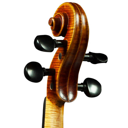 [Indent Order] Hidersine Espressione Violin 4/4 Outfit with Bow, Rosin and Case - Stradivari