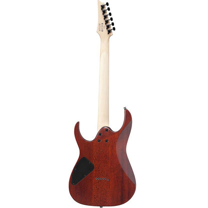 Ibanez RG421S Meranti Body Electric Guitar HH Pickup with Jatoba Fretboard - Sea Shore Matte