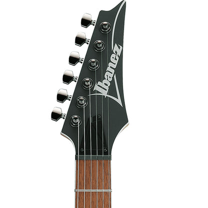 Ibanez RG421S Meranti Body Electric Guitar HH Pickup with Jatoba Fretboard - Sea Shore Matte