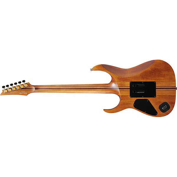 Ibanez RGRTBB21 Baritone Nyatoh Wing Body Electric Guitar with HH Pickup and Ebony Fretboard - Black Flat