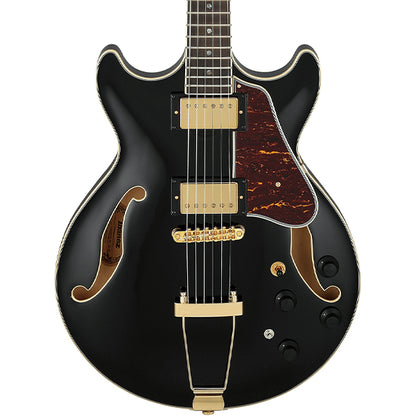 Ibanez AMH90 Artcore Expressionist Hollowbody Electric Guitar with Ebony Fretboard and HH Pickup - Black (AMH 90)